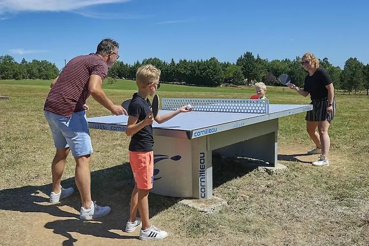 Lanzac Holiday Home With Dishwasher, Near Sarlat צרפת